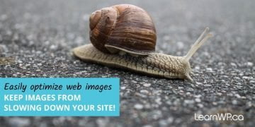 Keep Images from Slowing Down Your Site