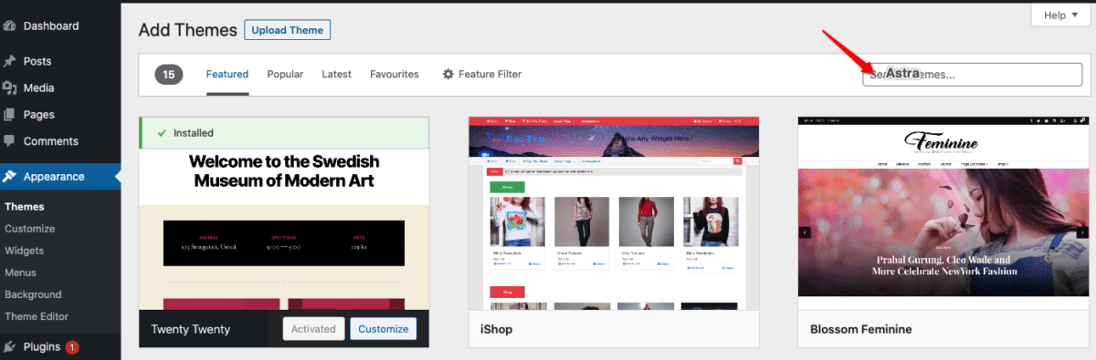 Screenshot of Add Themes screen under Appearance → Add New
