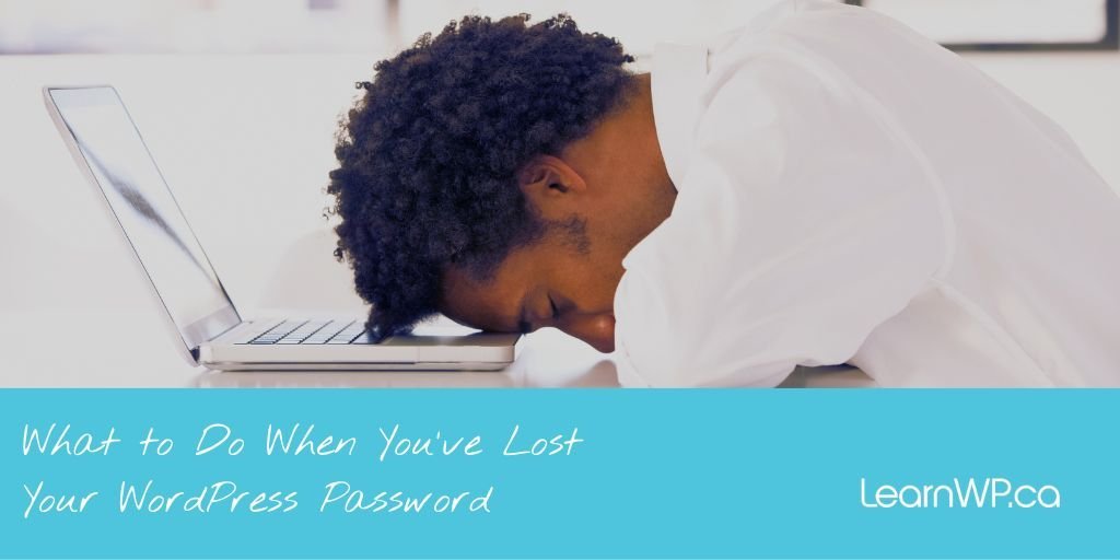 What to Do When You've Lost Your WordPress Password